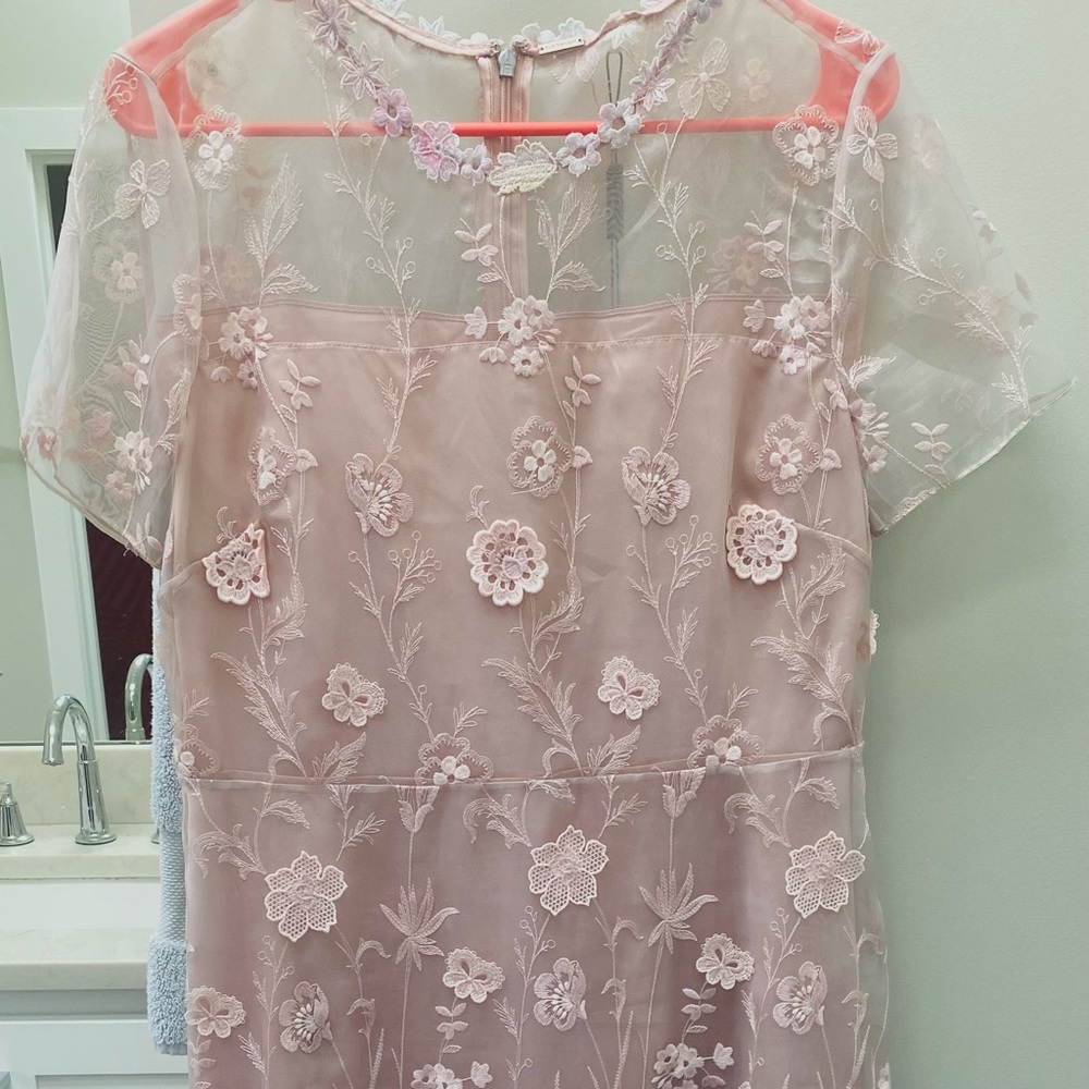 New Elie Tahari blush lace dress